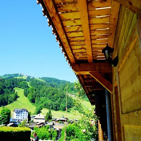 Chalet De Luxe Avec Cheminee, Terrasse, Garage A - Fr-1-524-14 *